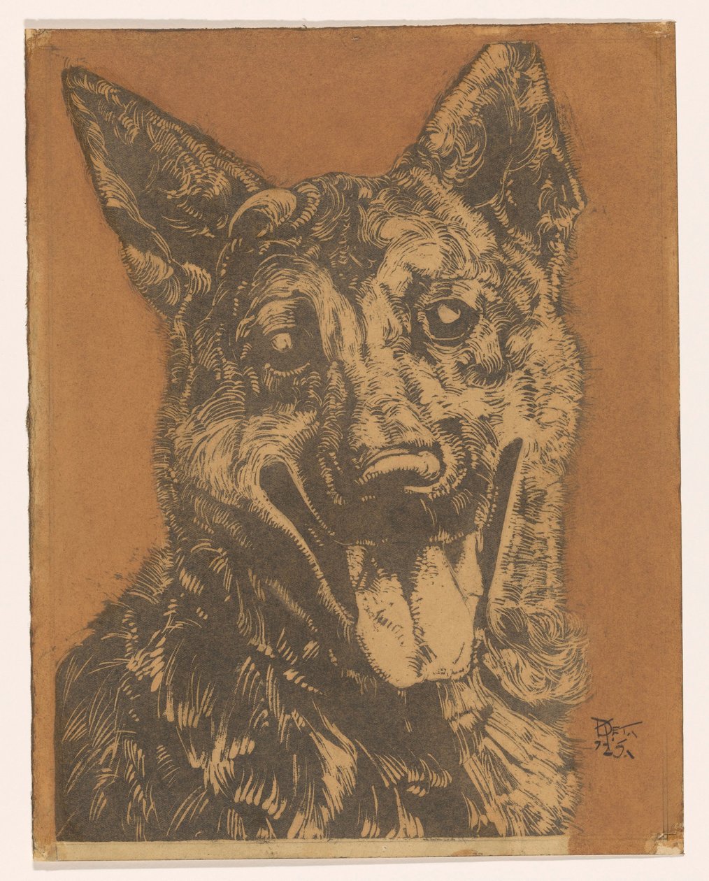cão Cees de Dick Ket (signed by artist)