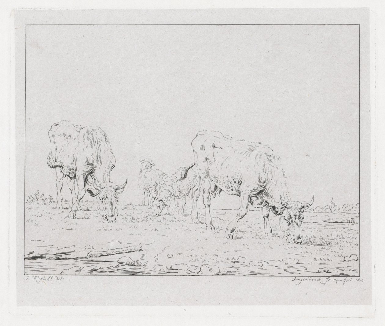 Vacas de pasto de Diederik Jan Singendonck