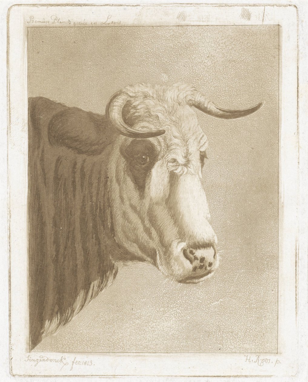 copo de biscoito de Diederik Jan Singendonck