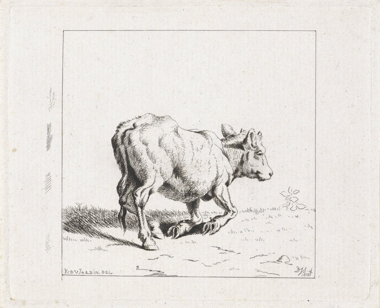 Bezerro subindo de Diederik Jan Singendonck