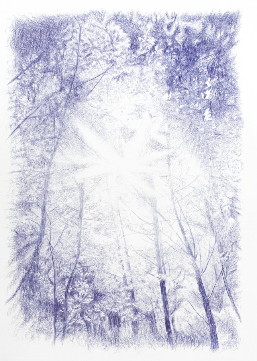 Contraluz, 2024 (tinta sobre tela) de Diego Beyro