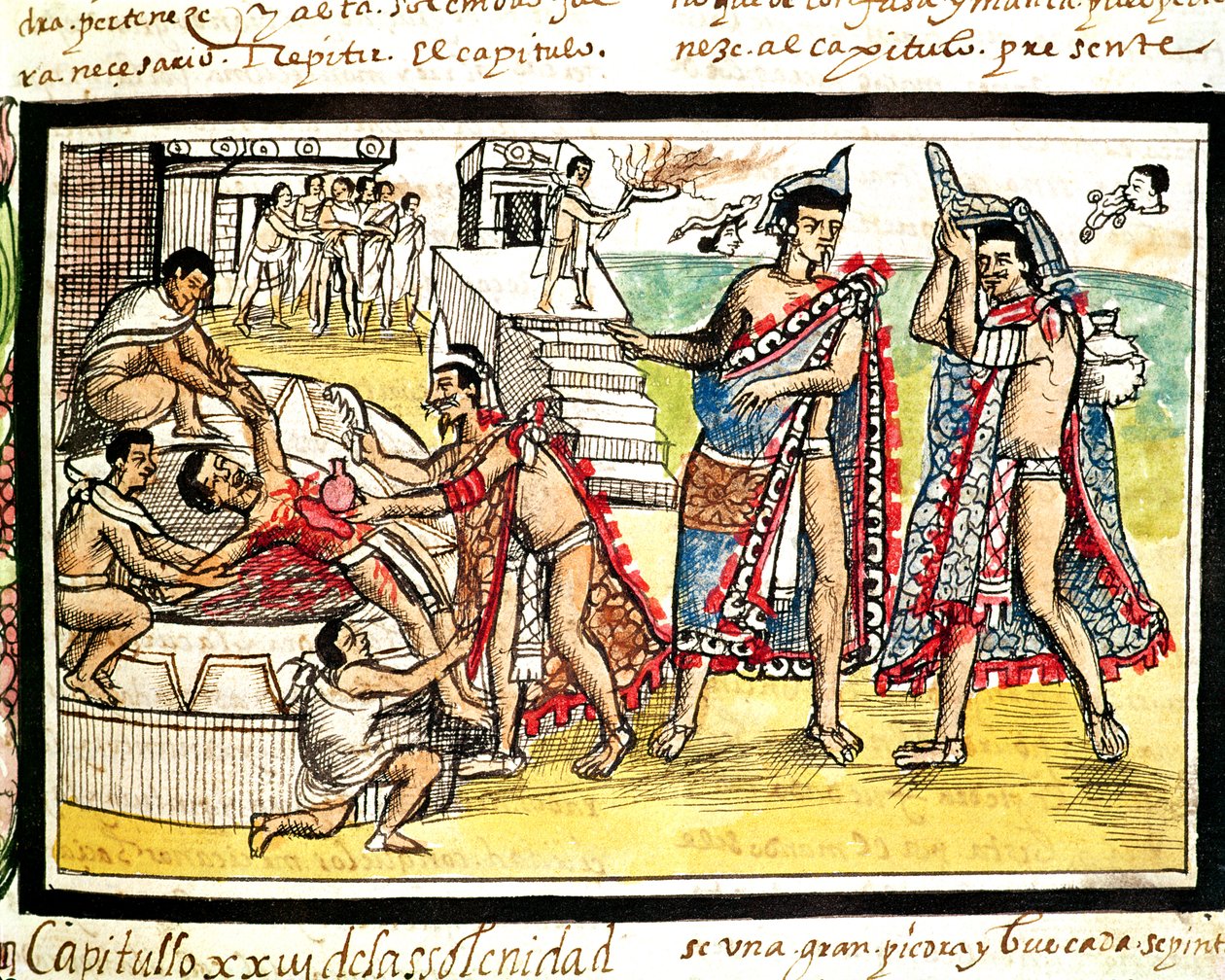 Fol.70v Sacrifício humano, do "Codex Duran" 1579 (velino) de Diego Duran
