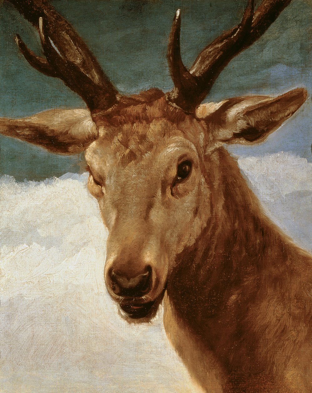 Cabeça de um veado, 1634 de Diego Velázquez