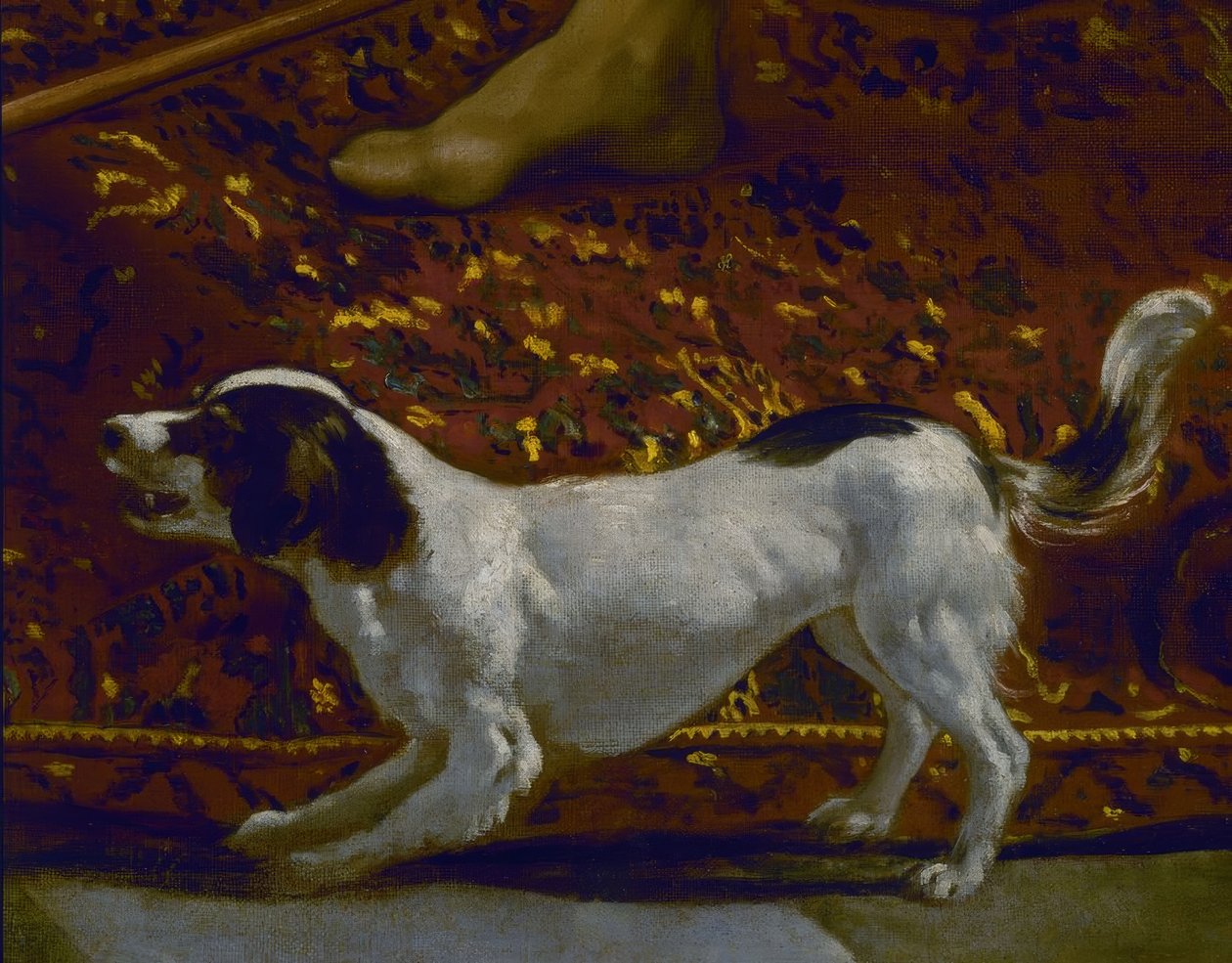 O TÚNICO DE JOSÉ - DETALHE DO CÃO - SÉCULO XVII - BARROQUE ESPANHOL - RESTAURADO EM 1989 - Conjunto 7331 de Diego Velázquez