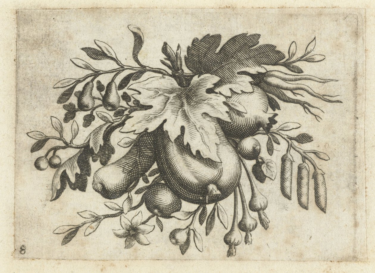 Festoen van vruchten
Fruchtenbuchlein zum Reisen dienlich (título da série) de Dietrich Krüger (attributed to)