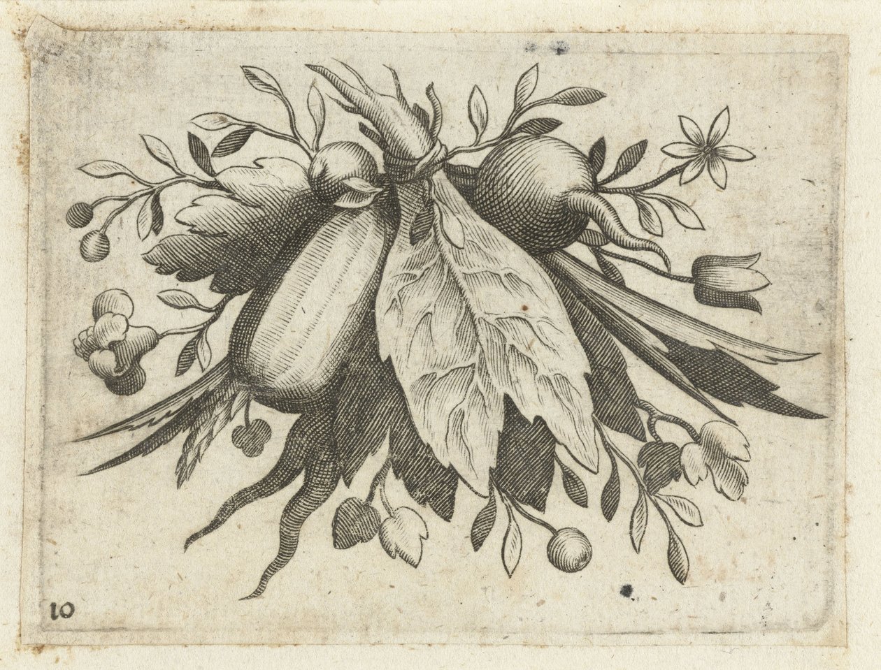 Festoen van vruchten
Fruchtenbuchlein zum Reisen dienlich (título da série) de Dietrich Krüger (attributed to)