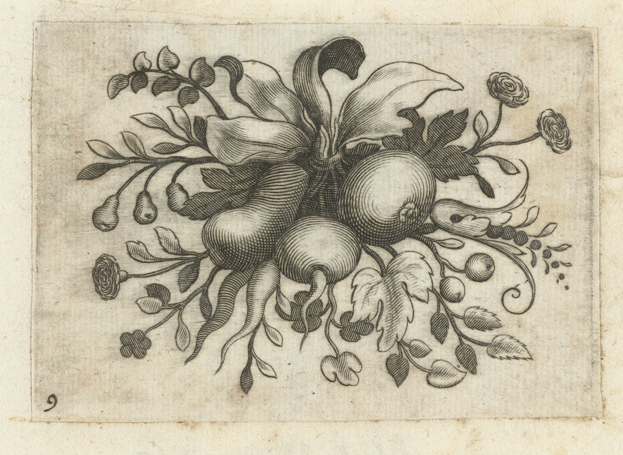 Festoen van vruchten
Fruchtenbuchlein zum Reisen dienlich (título da série) de Dietrich Krüger (attributed to)