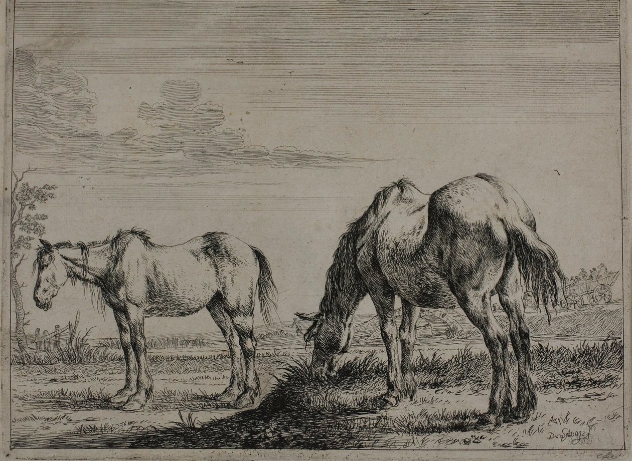 Cavalo pastando, prato três da Série de Cavalos de Dirck Stoop