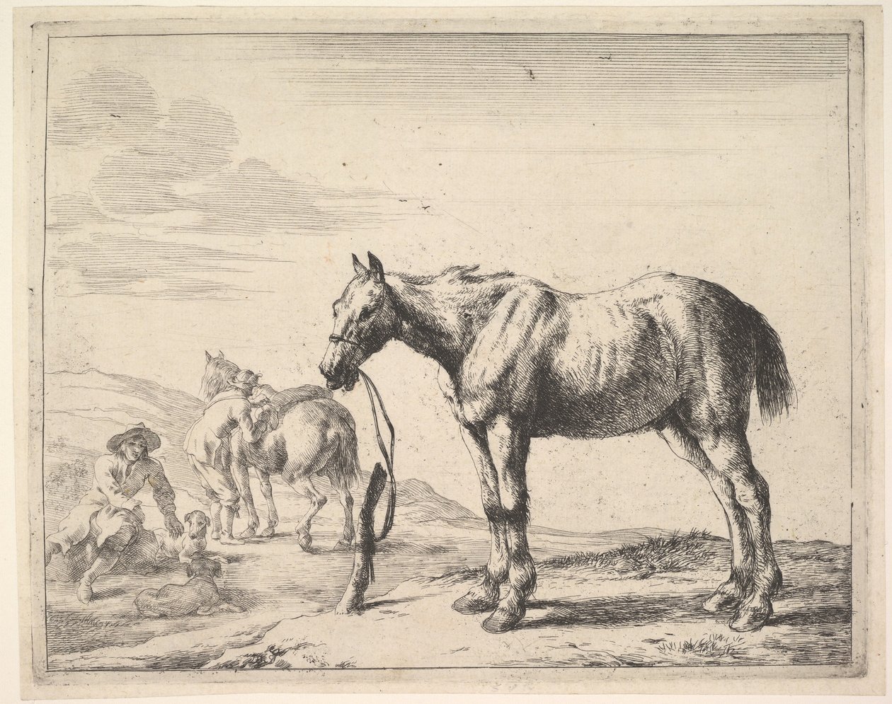 Floresta. de Dirck Stoop