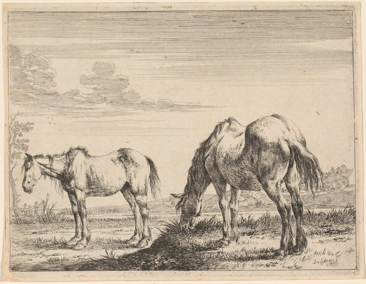 Dois cavalos pastando de Dirck Stoop