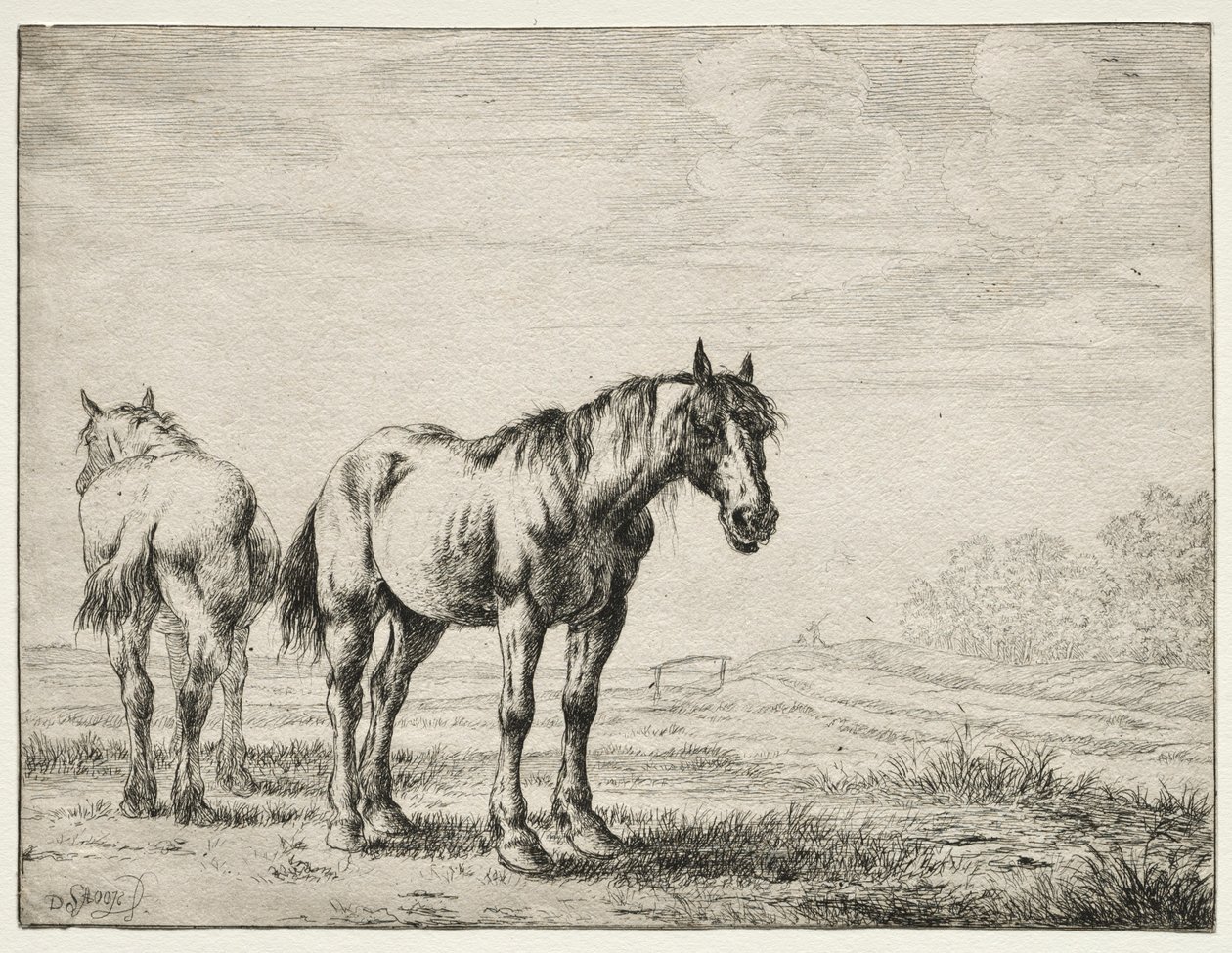 Dois cavalos de charrua. de Dirck Stoop