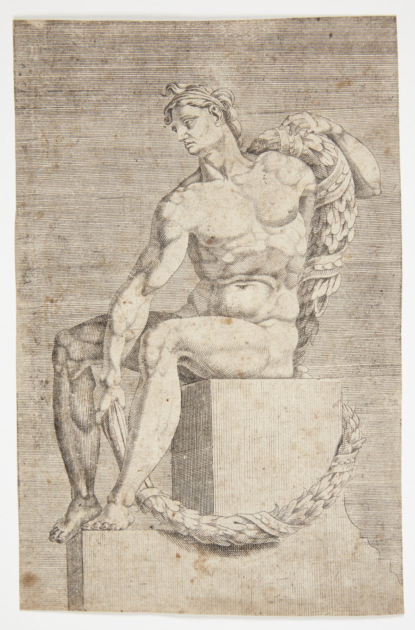 Nu da Capela Sistina de Dirck Volckertsz. Coornhert