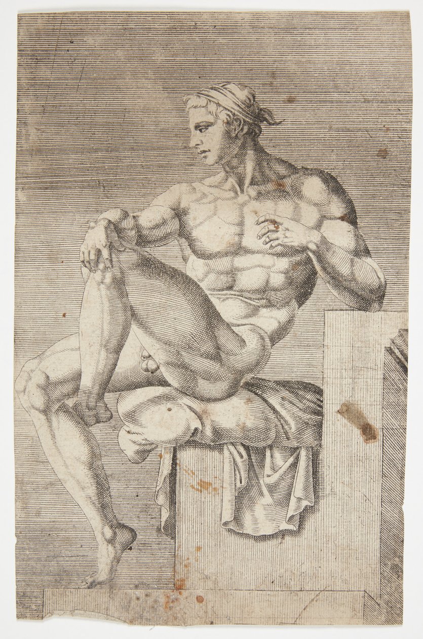 Nu da Capela Sistina de Dirck Volckertsz. Coornhert