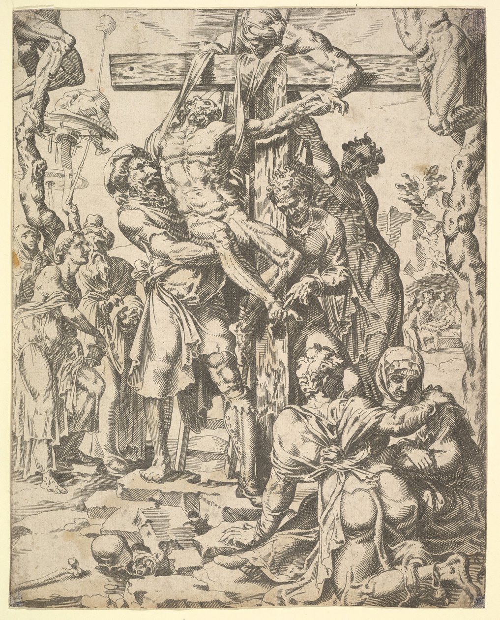 Floresta. de Dirck Volkertsen Coornhert