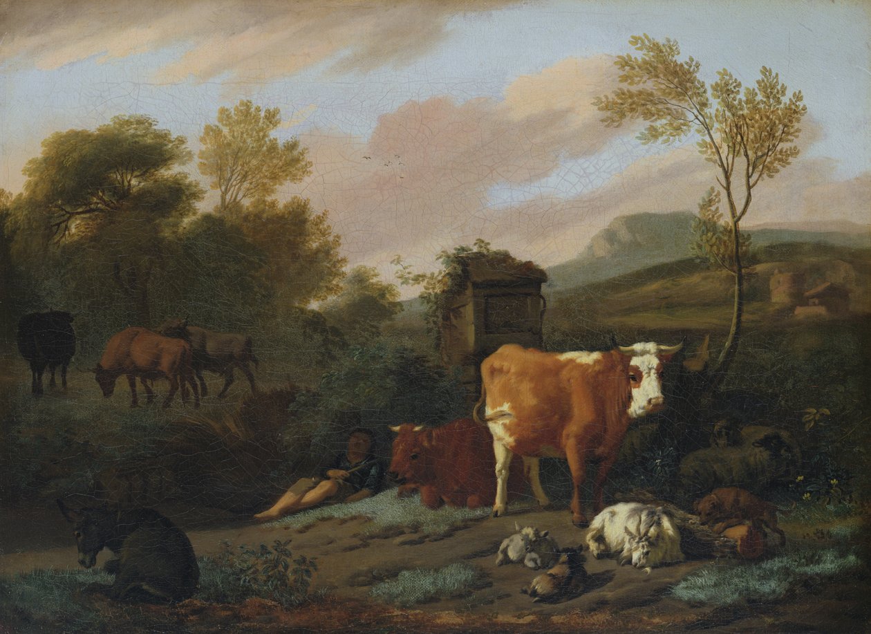 Animal de Dirck van Bergen
