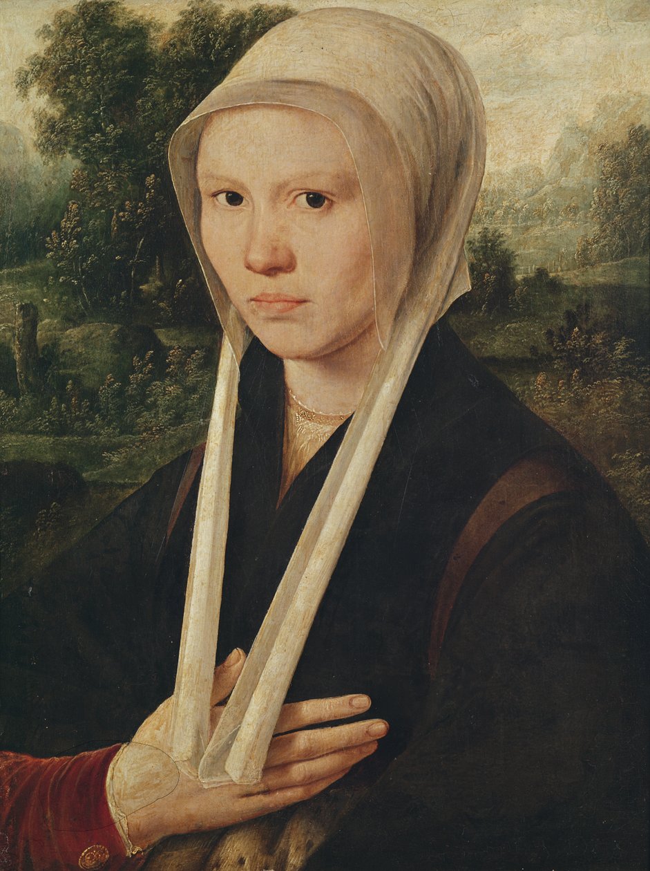 Retrato de uma jovem mulher, c.1530 de Dirk Jacobsz