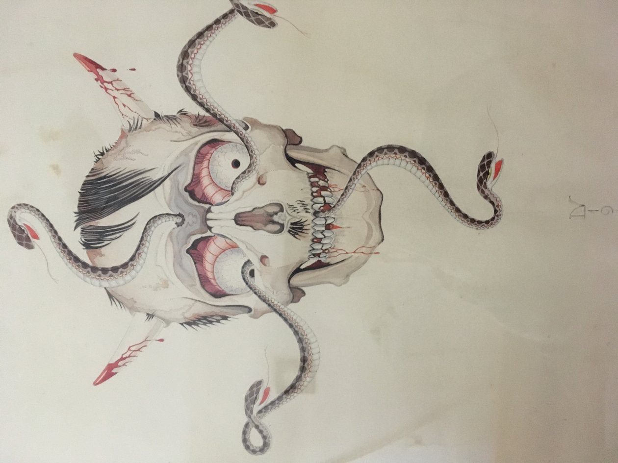 Hitler dos desenhos animados de Dirk Verstraten
