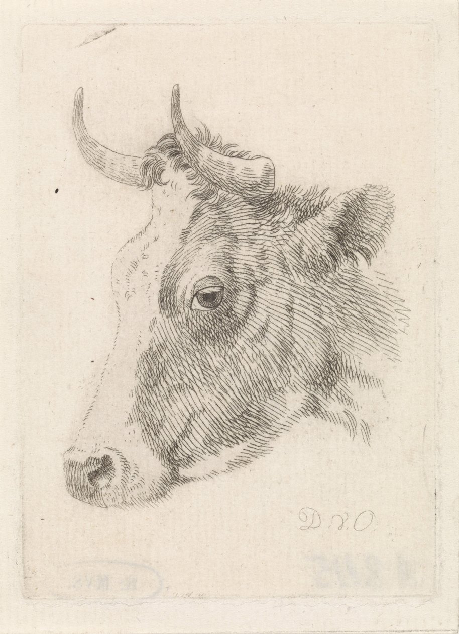 Cabeça de um touro, desenhando por Dirk van Oosterhoudt de Dirk van Oosterhoudt  