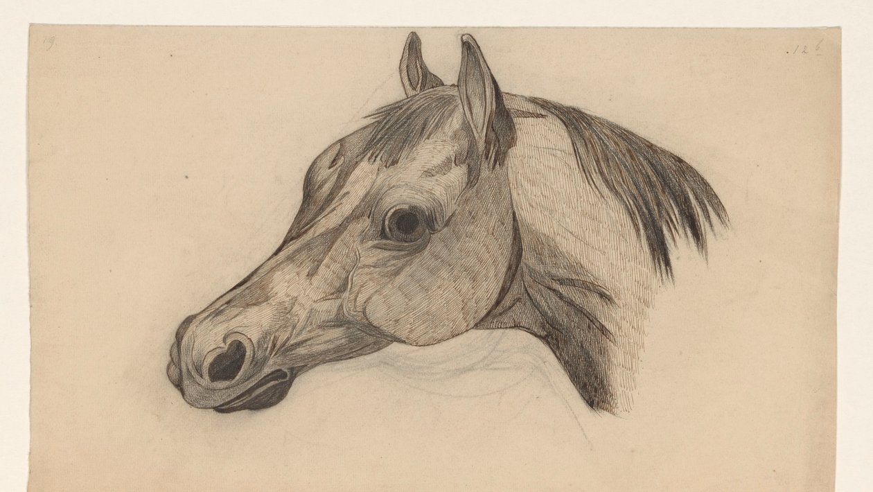 Cabeça de um cavalo, à esquerda de Dirk Arnoldus Tavenraat