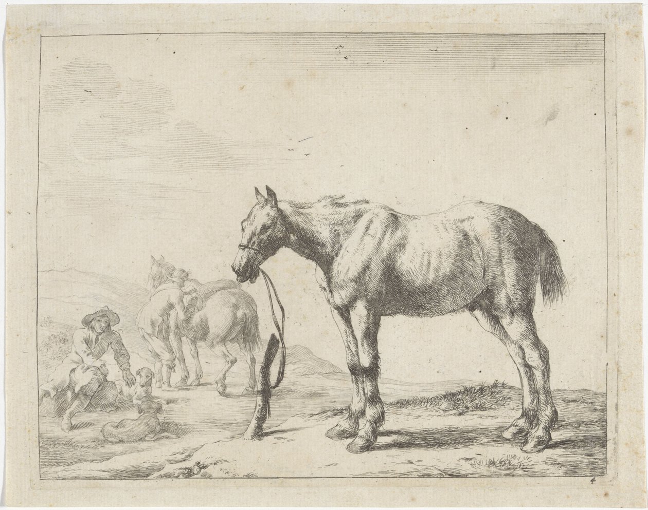 Cavalo amarrado a um poste virado para a esquerda
Cavalos (título da série) de Dirk Stoop