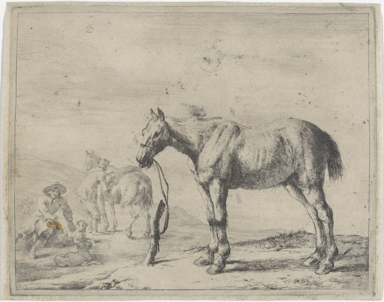 Cavalo amarrado a um poste à esquerda Cavalos (título da série) de Dirk Stoop