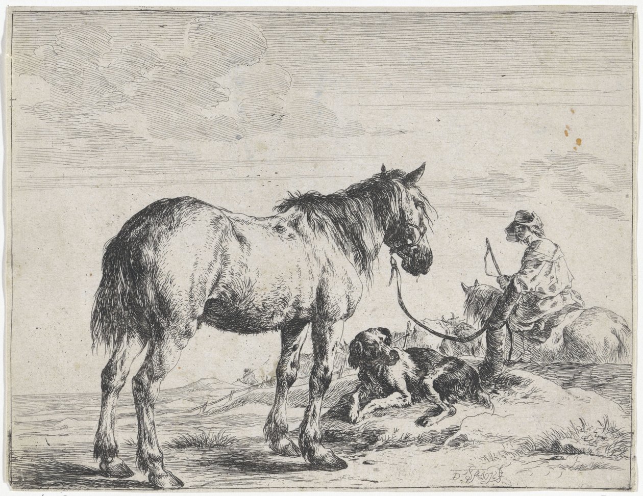 Cavalo amarrado a um poste
Cavalos (título da série) de Dirk Stoop