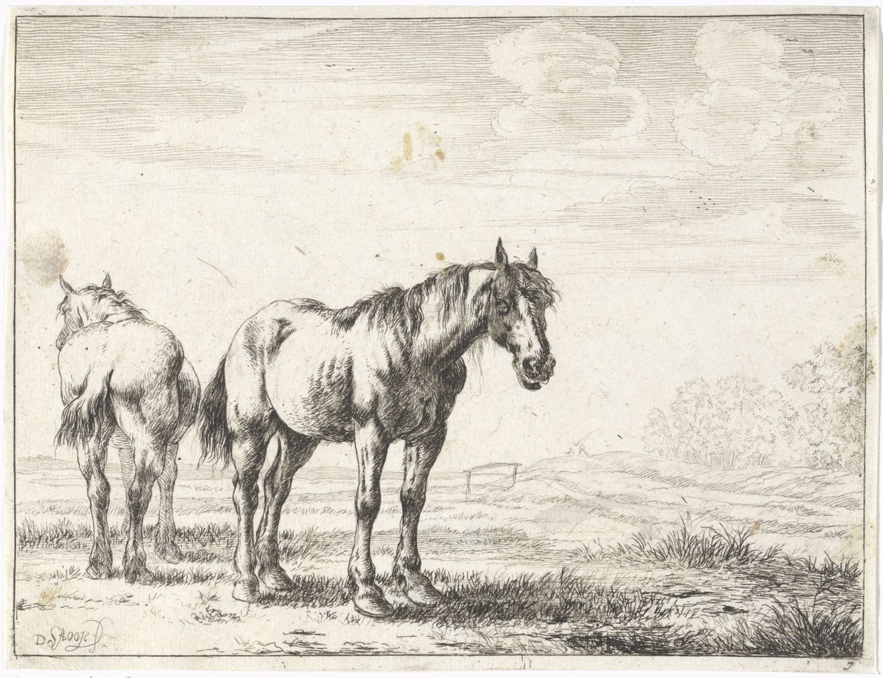 Dois cavalos numa paisagem
Cavalos (título da série) de Dirk Stoop