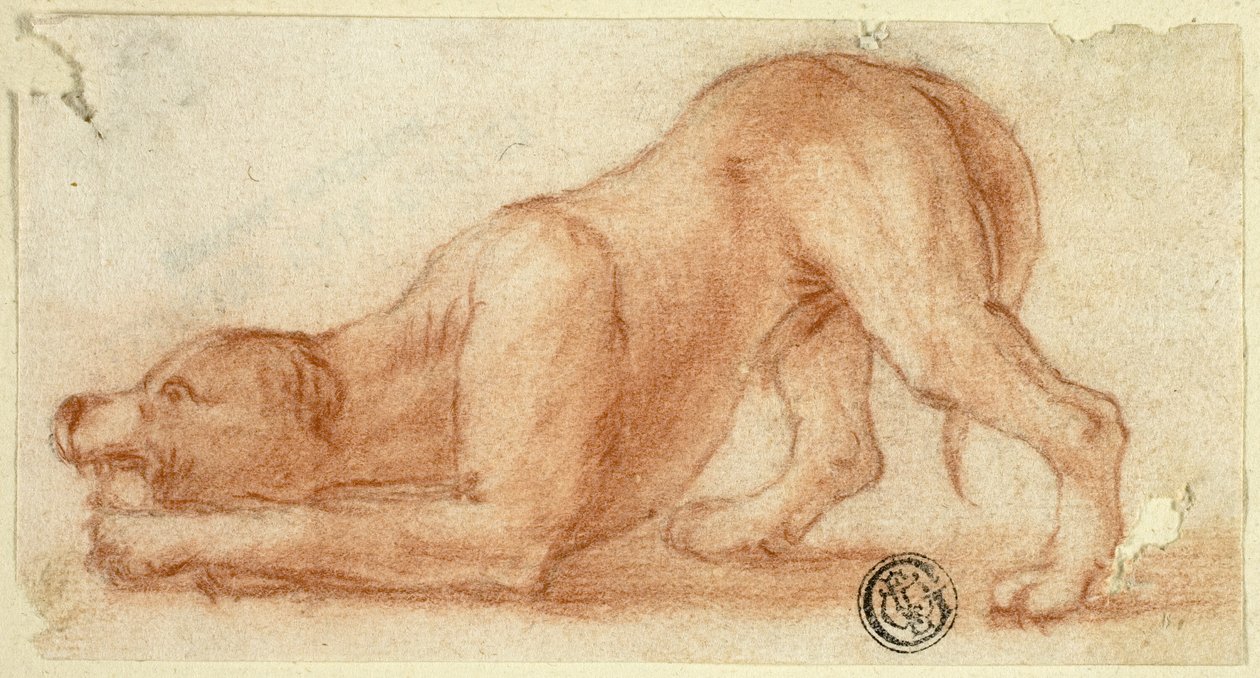Cão peludo saltitante de Dirk Valkenburg