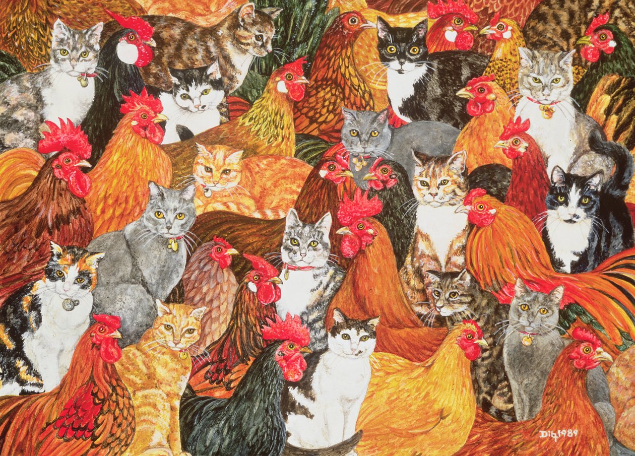 Frango-Gatos de Ditz