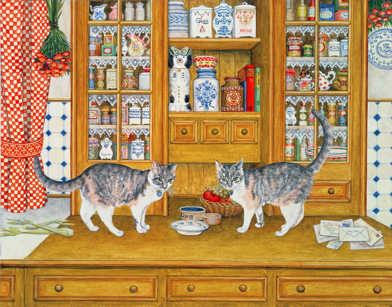 Gatos Dresser de Ditz