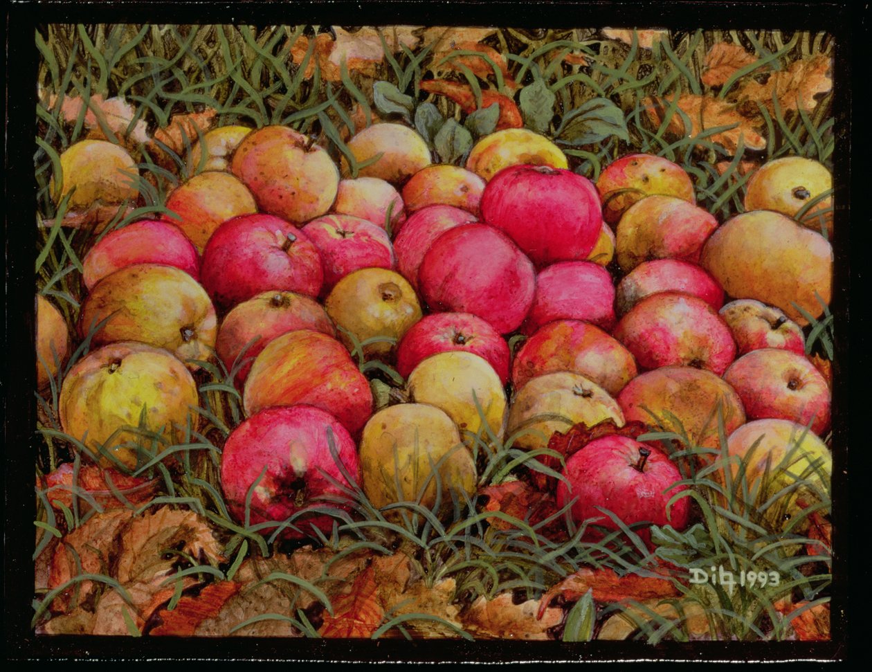 Maçãs de Durnitzhofer, 1993 de Ditz