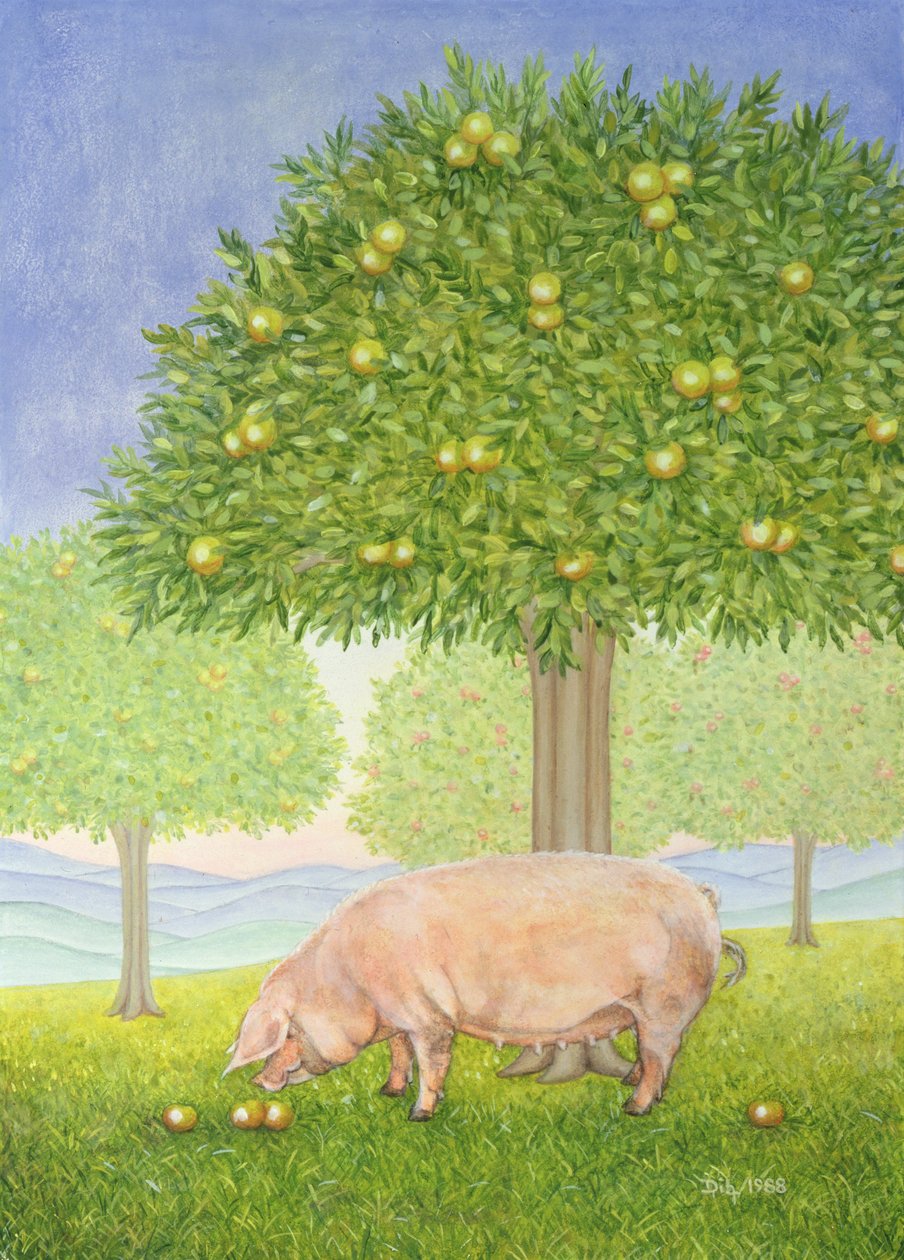 Porco Orchard à esquerda de Ditz