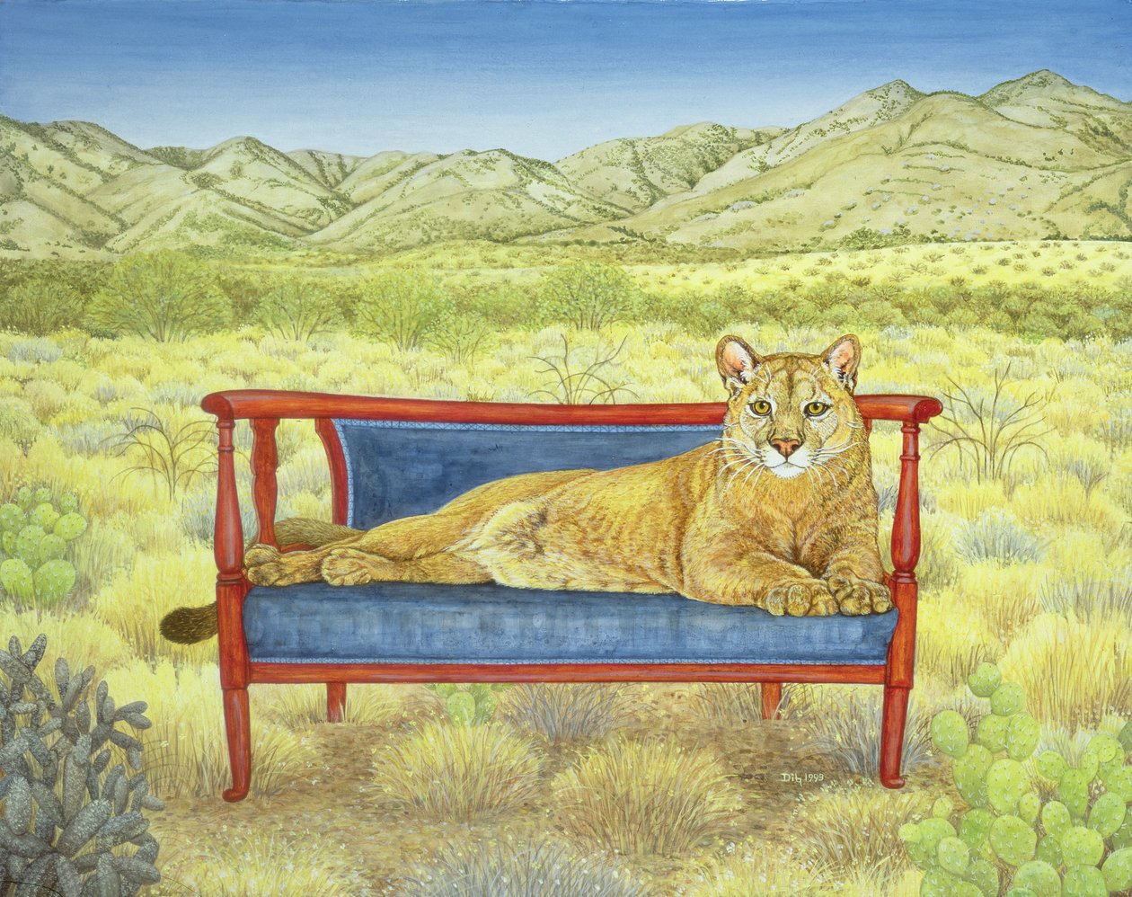 Millers Mountain-Lion de Ditz