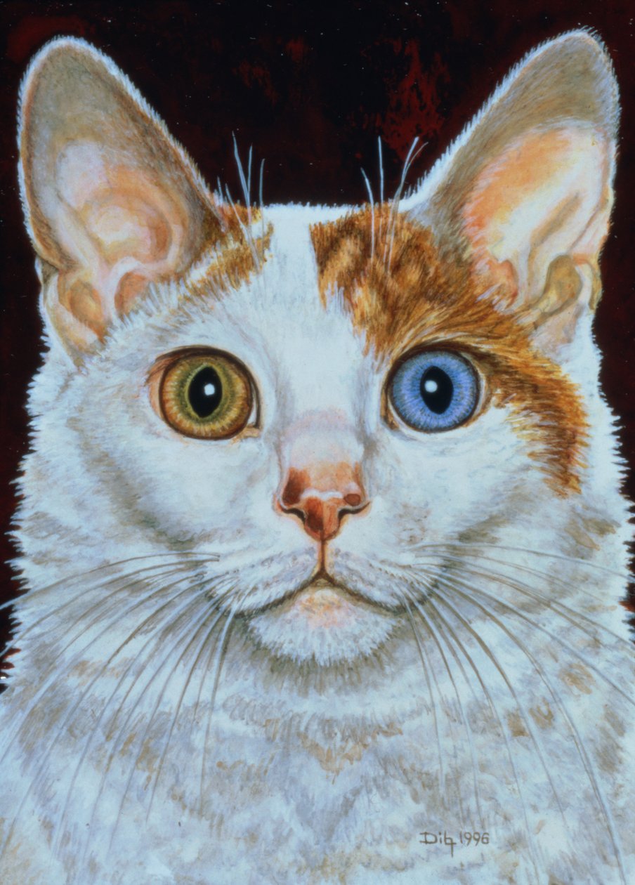 Minette, 1996 (acrílico no painel) de Ditz