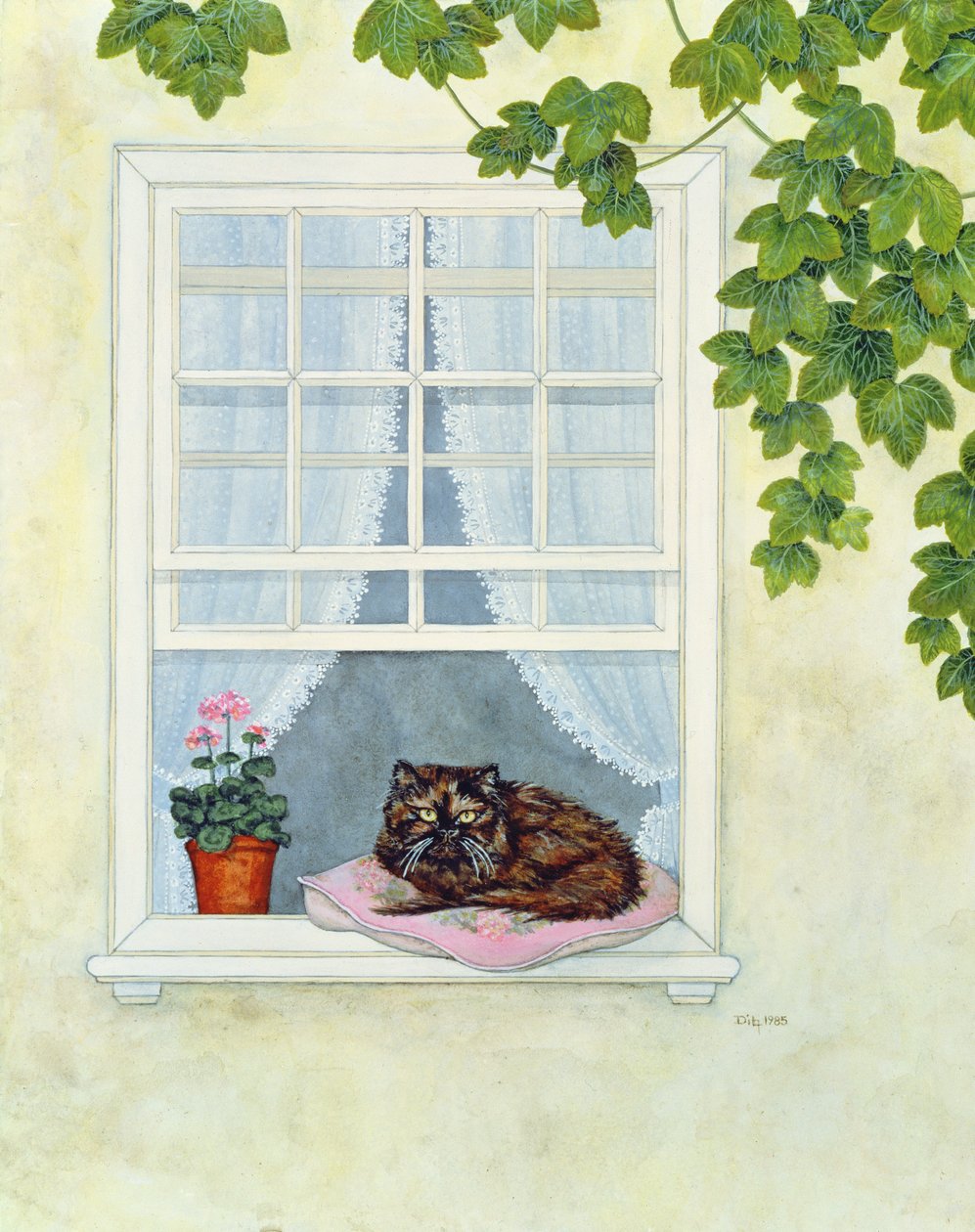 Pams Cat de Ditz
