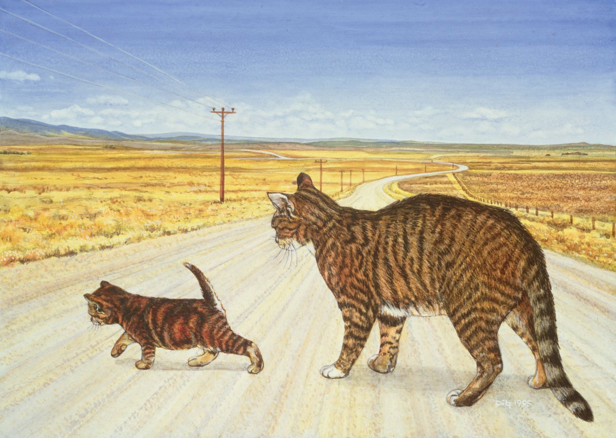 Saratoga Crossing, 1995 de Ditz