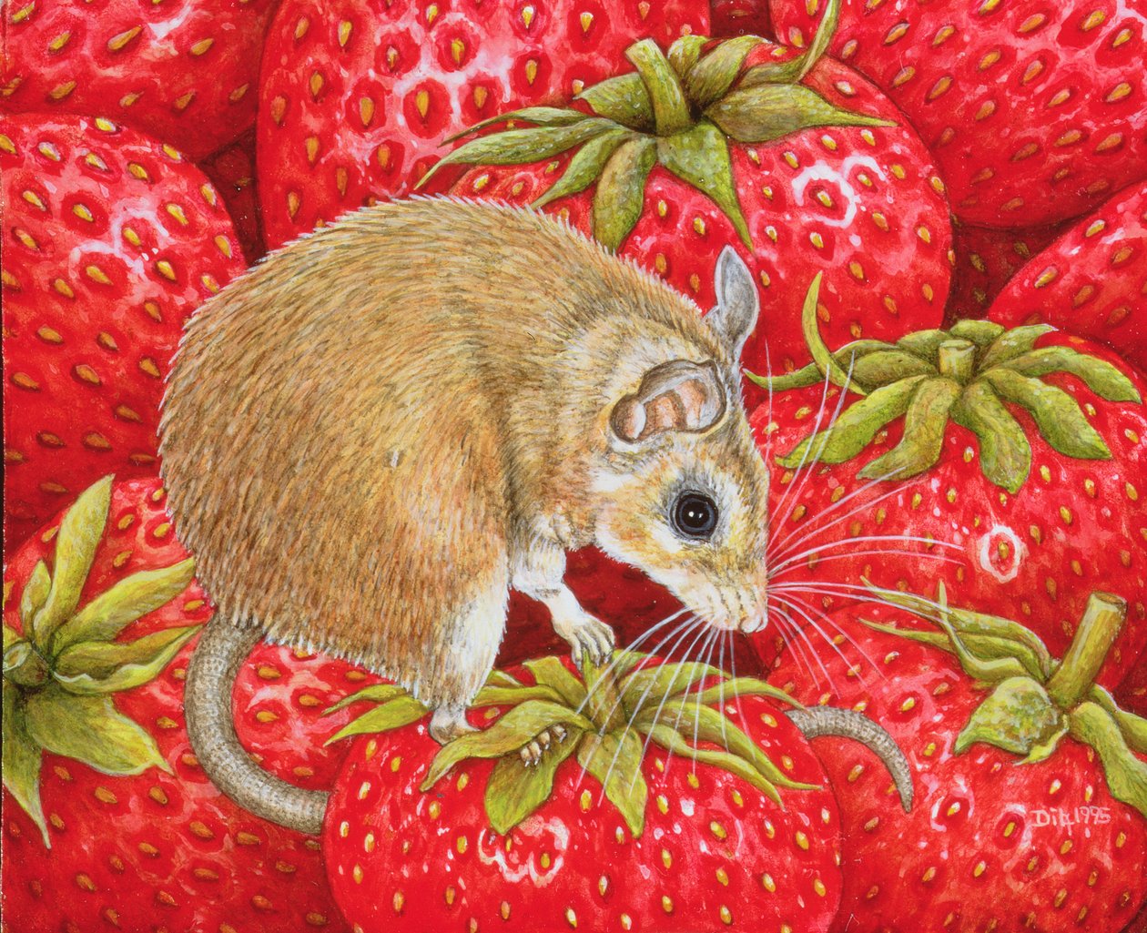 Morango-Rato, 1995 (acrílico no painel) de Ditz