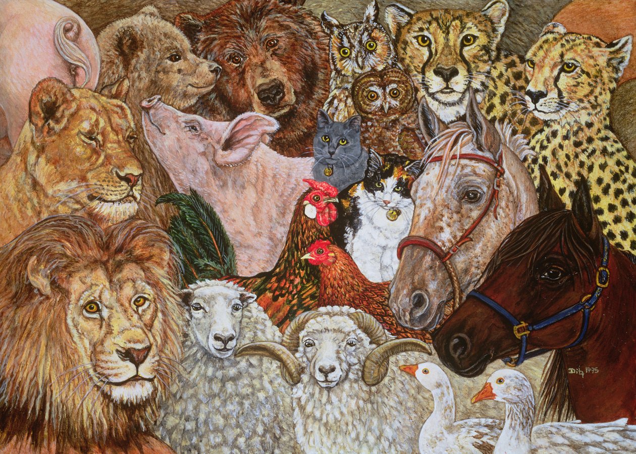 The Ark Spread, 1995 de Ditz