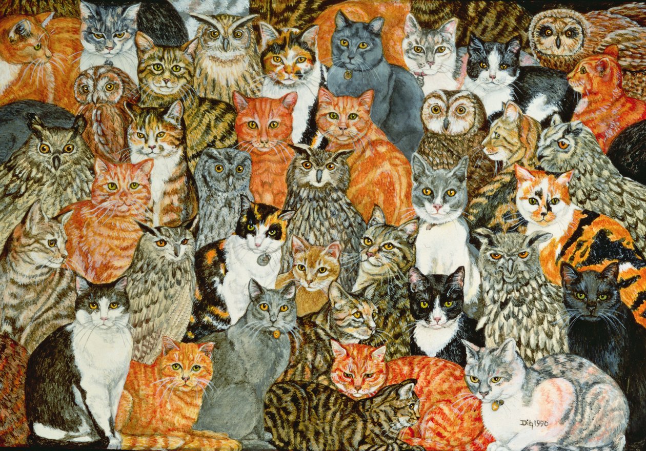 As corujas e as gatinhas de Ditz