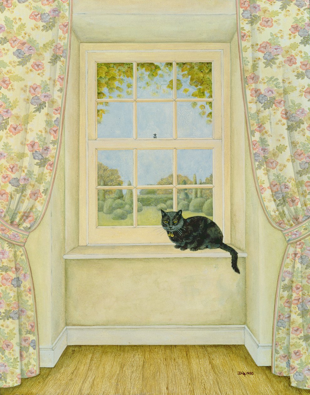 O gato da janela de Ditz
