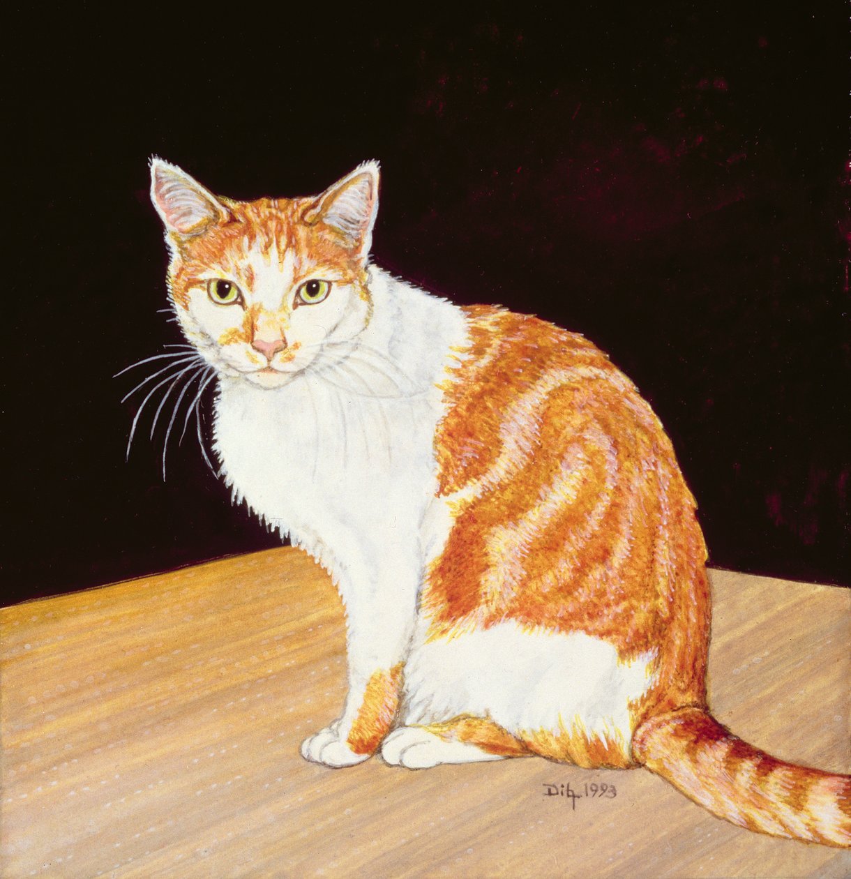 Thomas de Ditz