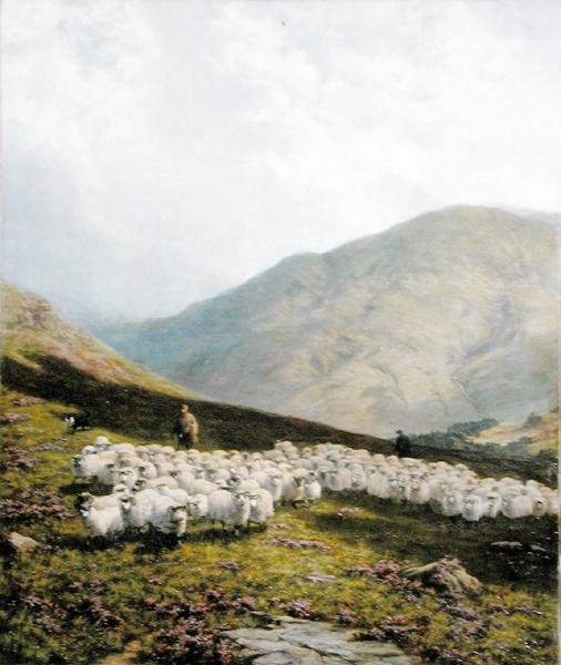 Shepherd and Sheep, Perthshire (óleo sobre tela) de Dixon Clark