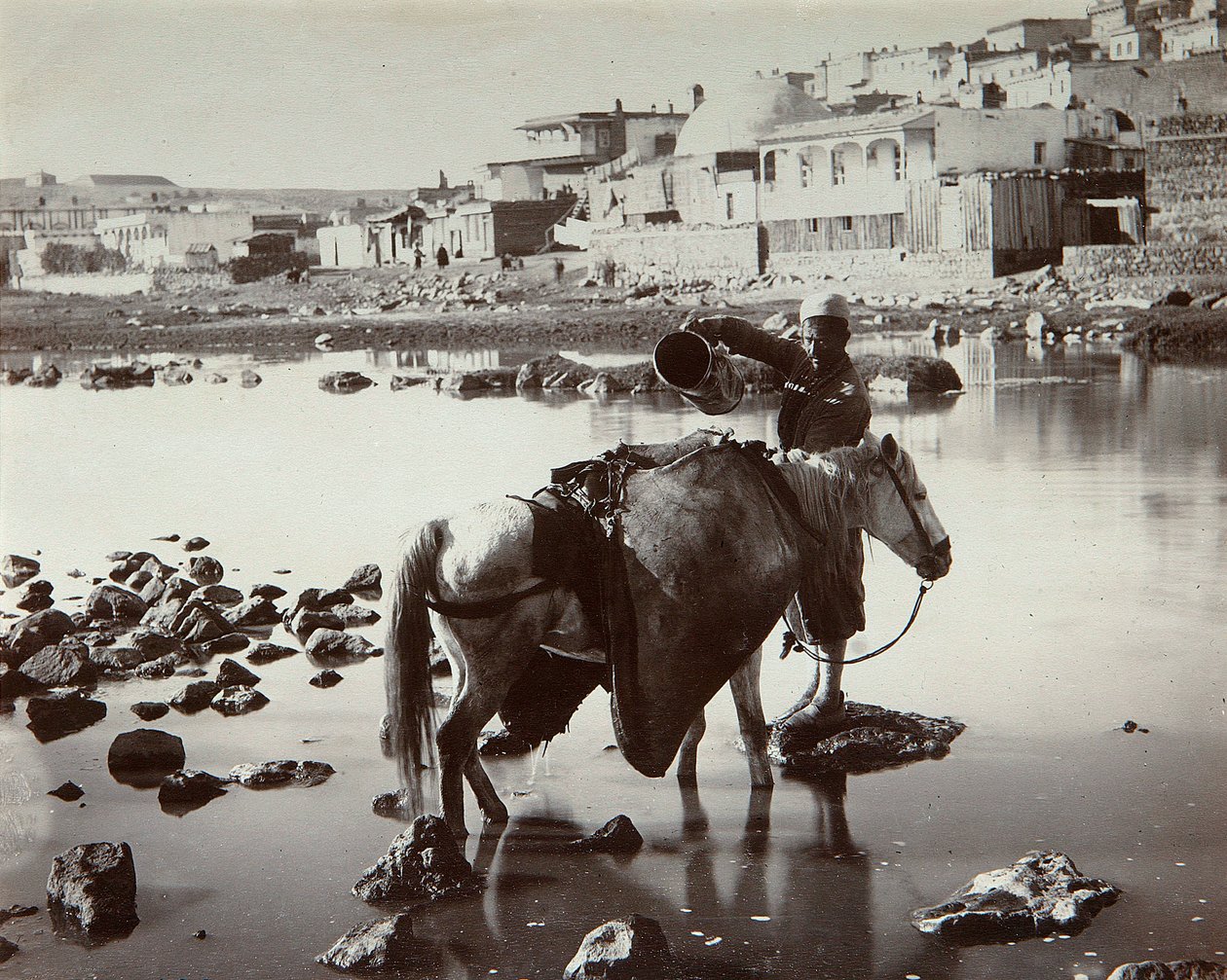 Um lugar de rega, década de 1880 de Dmitri Ivanovich Yermakov