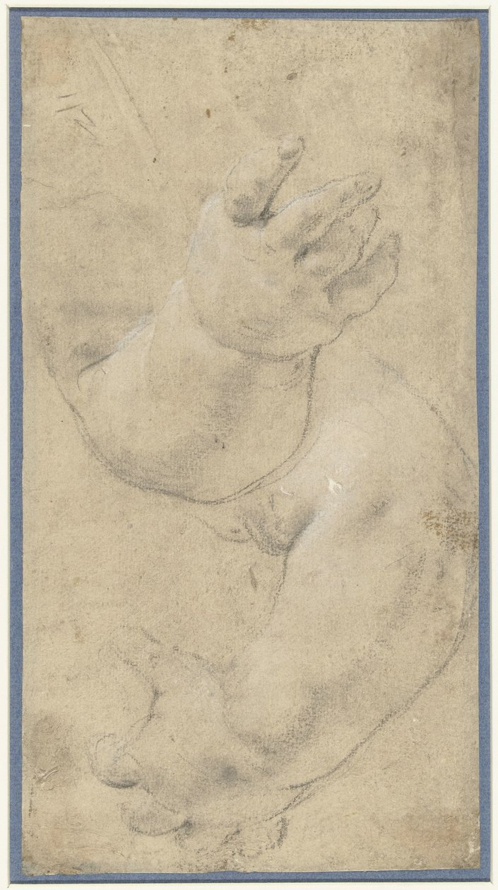Estudo de dois braços de crianças de Domenichino