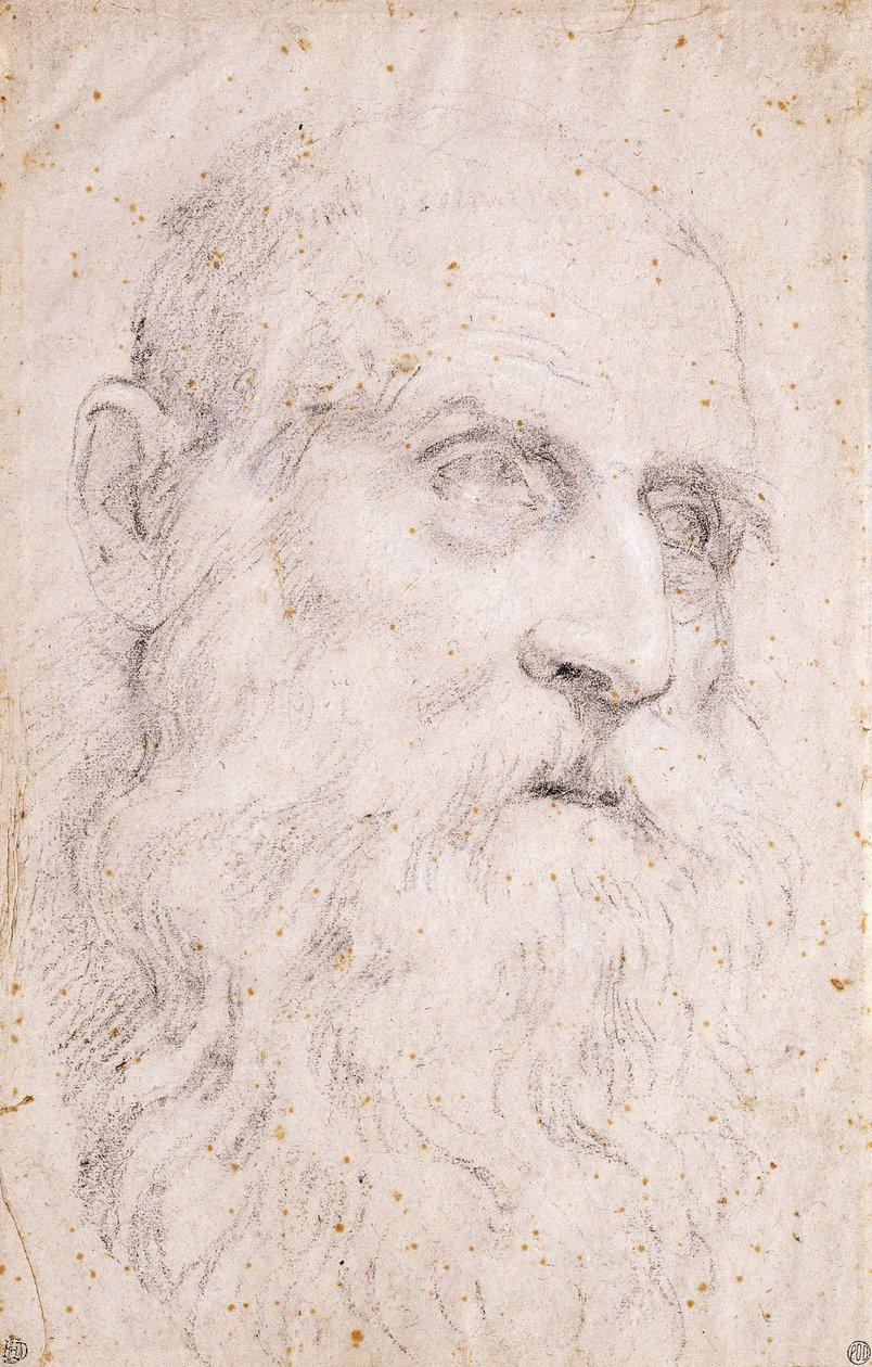A cabeça de São Jerônimo de Domenichino
