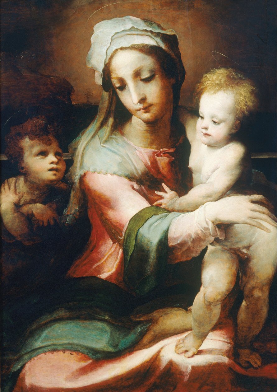 Madonna e criança com o bebê John the Baptist de Domenico di Pace Beccafumi  