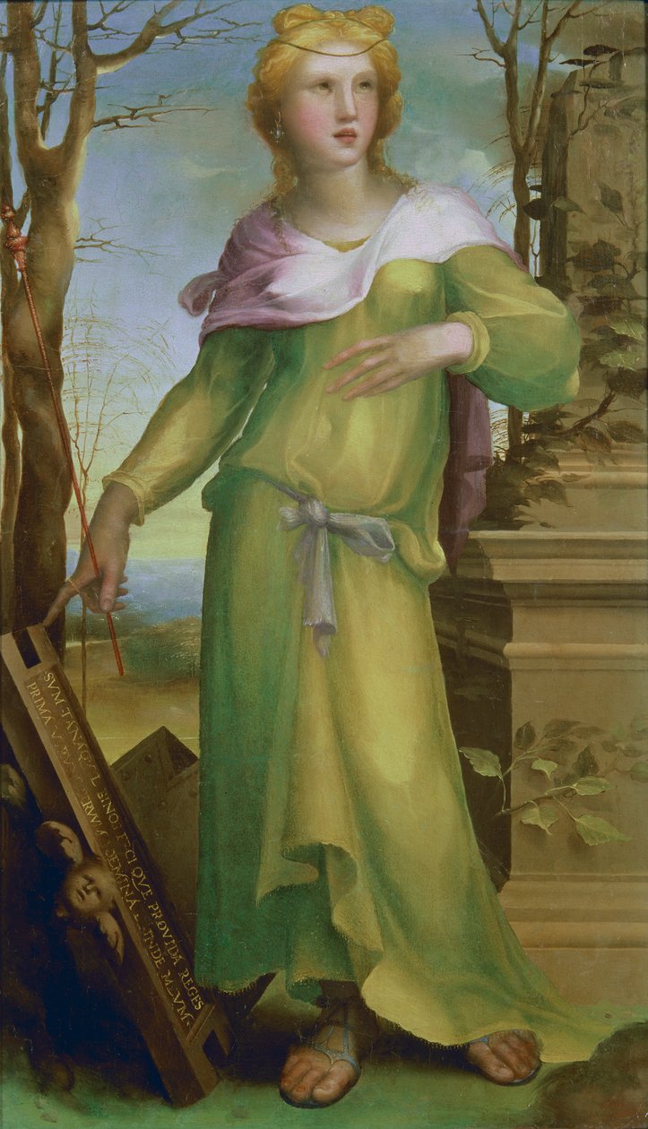 Tanaquil, c.1520-25 (óleo sobre madeira) de Domenico di Pace Beccafumi  