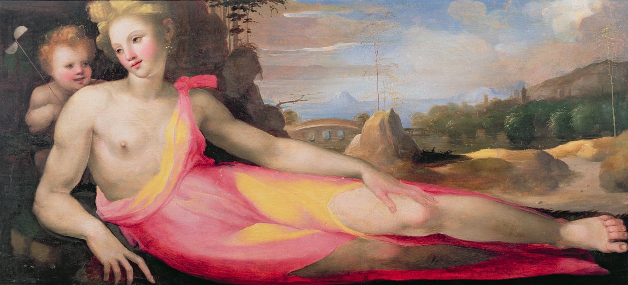 Vênus e Cupido, c.1519 (painel) de Domenico di Pace Beccafumi  