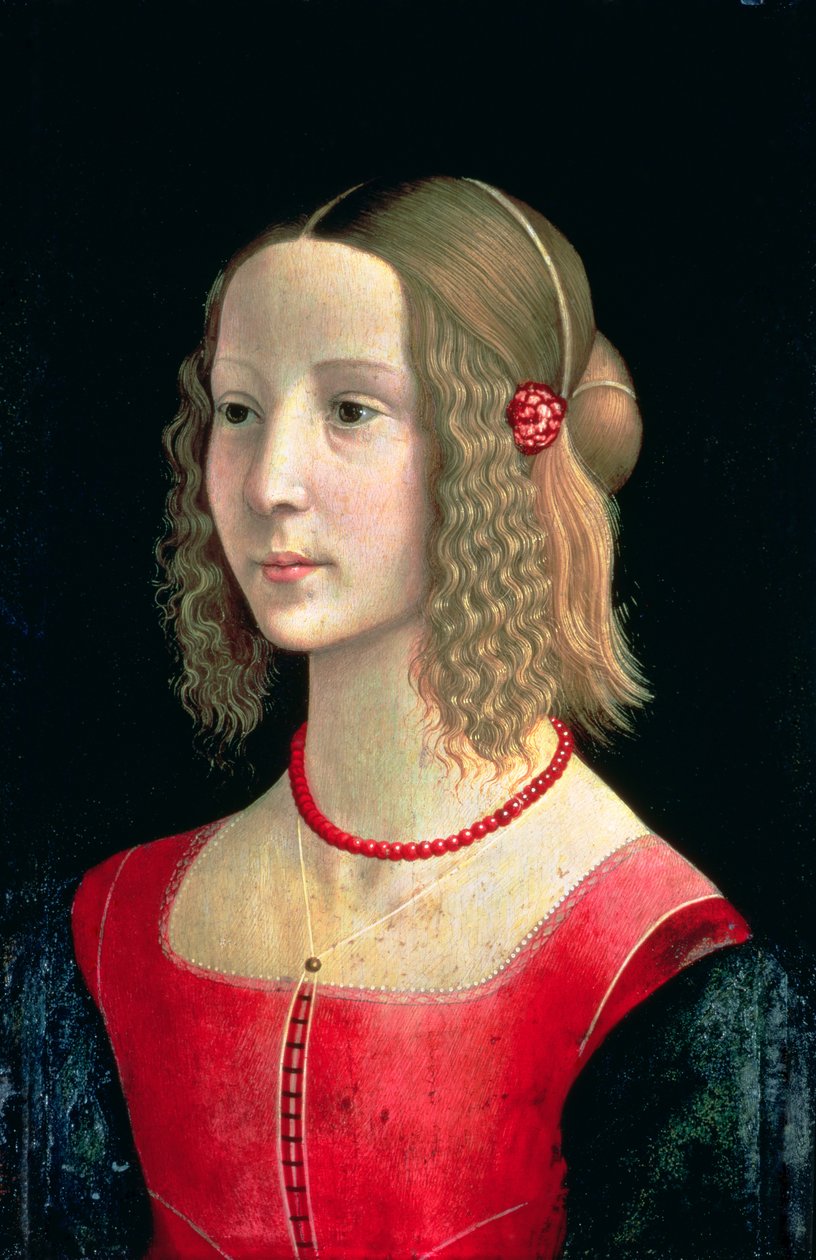 Retrato de uma menina, c.1490 (tempera no painel) de Domenico Ghirlandaio