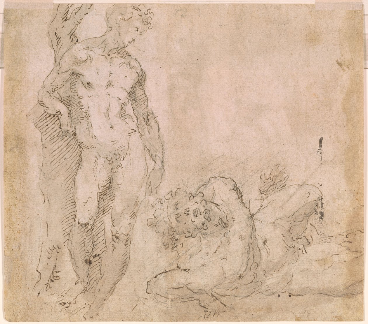 Beccafumi - Verso Nu masculino encostado a um tronco de árvore e nu masculino reclinado com a cabeça virada para trás, ca. 1530-1540 de Domenico Beccafumi